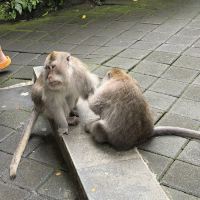 評論圖片 3