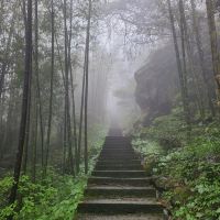 評論圖片 2