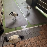 評論圖片 6
