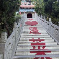 評論圖片 5