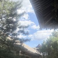 評論圖片 4