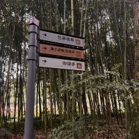 評論圖片 4