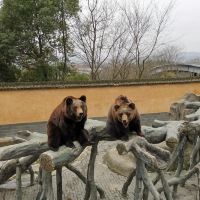 評論圖片 7