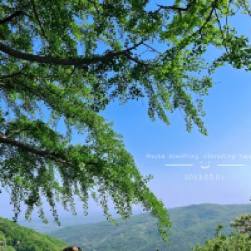 評論圖片 2
