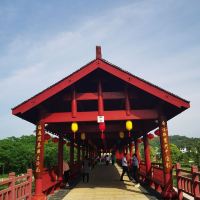 評論圖片 1