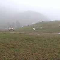 評論圖片 1