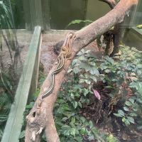 評論圖片 8