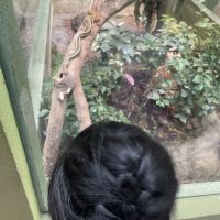 評論圖片 7