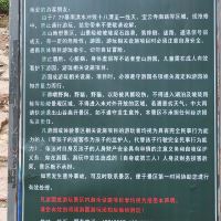評論圖片 6