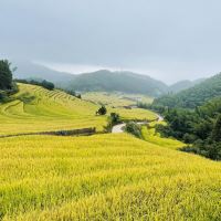 評論圖片 6
