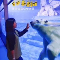 評論圖片 7