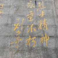 評論圖片 4