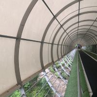 評論圖片 3