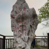 評論圖片 5