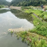 評論圖片 7