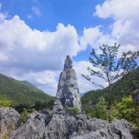 評論圖片 5