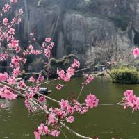 評論圖片 4
