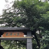 評論圖片 1