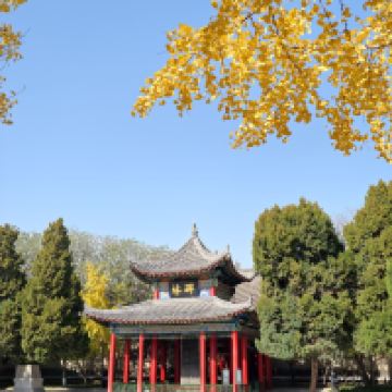 評論圖片 1