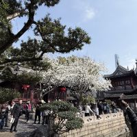 評論圖片 1