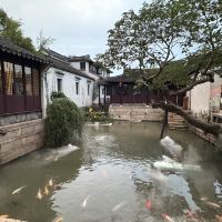 評論圖片 6