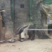 評論圖片 5