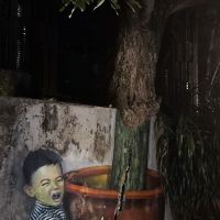 評論圖片 7