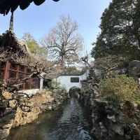 評論圖片 5