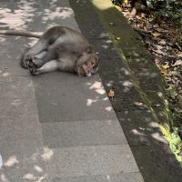 評論圖片 4