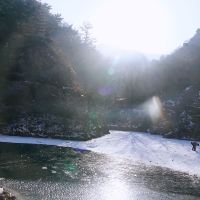 評論圖片 7
