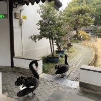 評論圖片 2