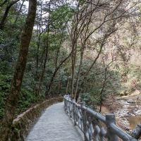 評論圖片 4
