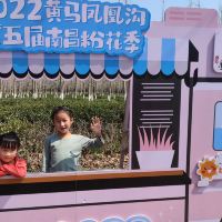 評論圖片 5