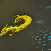 評論圖片 6