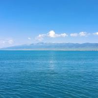 評論圖片 6