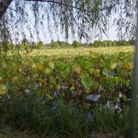 評論圖片 2