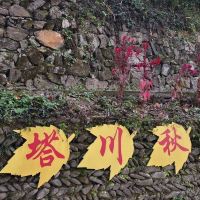 評論圖片 4