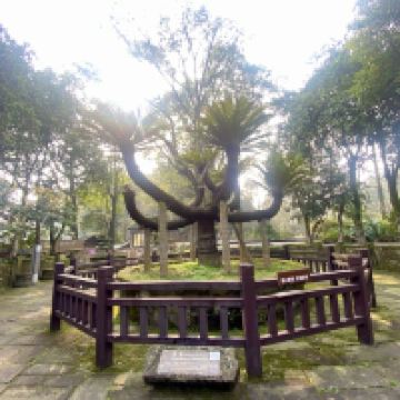 評論圖片 4