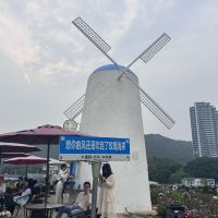評論圖片 3