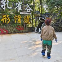 評論圖片 1