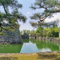 評論圖片 1