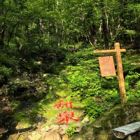 評論圖片 1