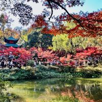 評論圖片 3