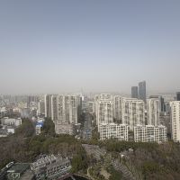 評論圖片 8