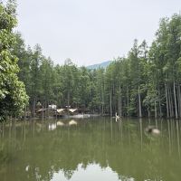 評論圖片 7