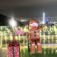 評論圖片 4