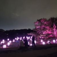 評論圖片 6