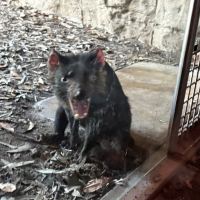 評論圖片 4