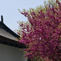 評論圖片 4