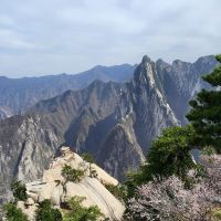 評論圖片 2